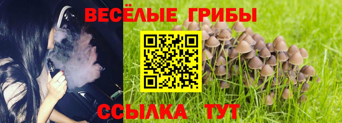 Углич  Галлюциногенные грибы мухоморы  Вход с VPN 